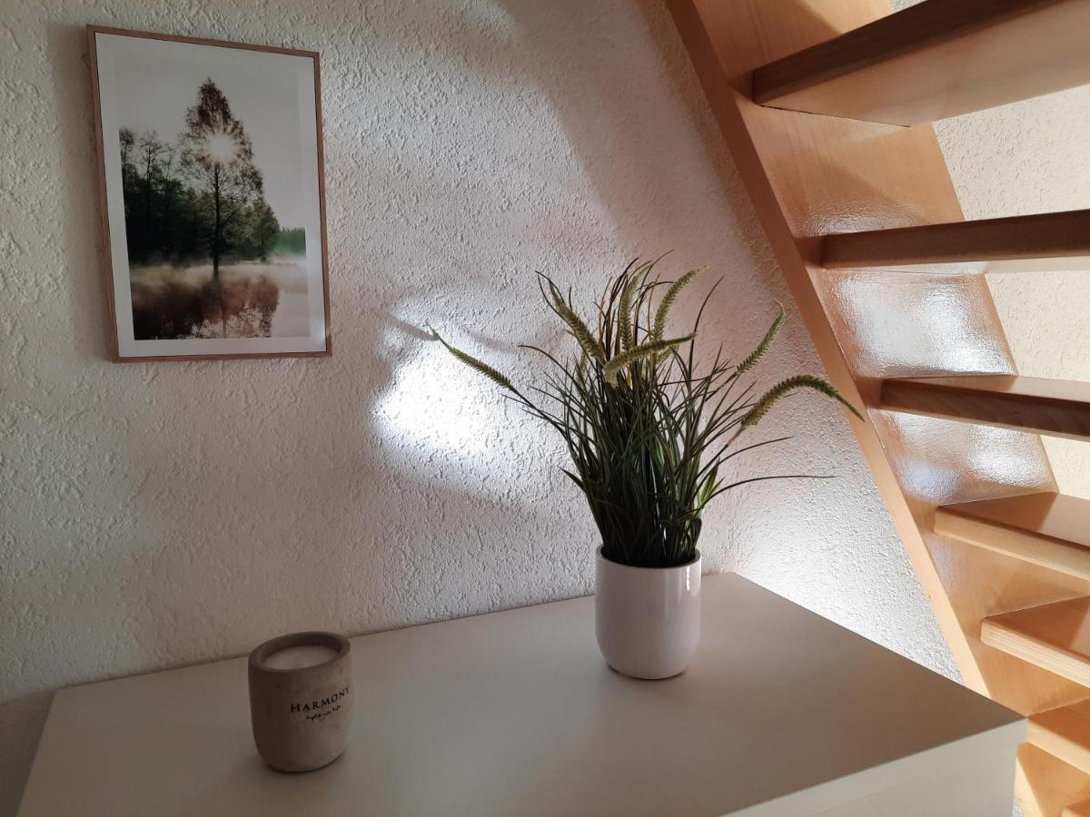 Ferienhaus Am Erzgebirgskamm Marienberg Bagian luar foto